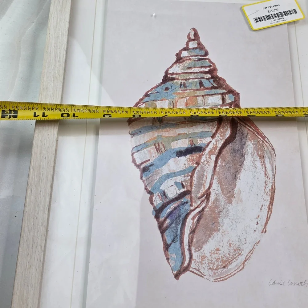 Lanie Loreth Seashell Framed Art Set 3 Coastal Nautical Watercolor Wall Decor